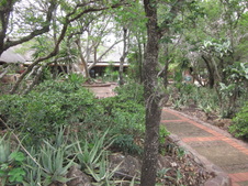 Enlarge photo 49