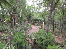 Enlarge photo 51