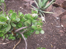 Enlarge photo 63