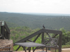 Enlarge photo 25