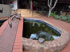 Enlarge photo 45