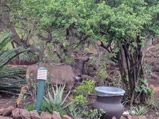 Enlarge photo 73