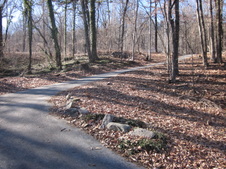 Enlarge photo 24