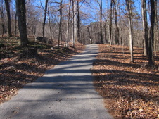 Enlarge photo 25