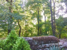 Enlarge photo 19