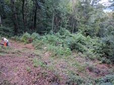 Enlarge photo 2
