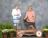 AKC CH Poise Step N out Gettin Jiggy