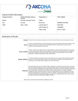 Enlarge PDF 9
