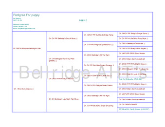 Enlarge PDF 21
