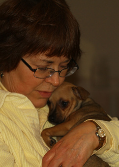 Enlarge photo 29