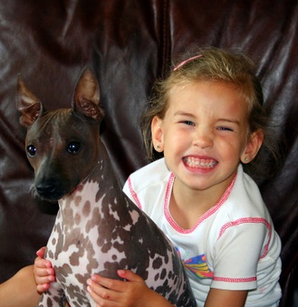 Enlarge photo 60