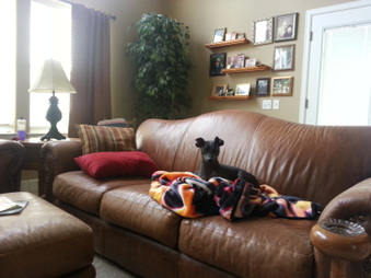 Enlarge photo 6