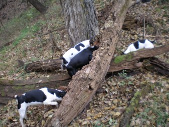 Enlarge photo 13