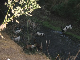 Enlarge photo 16