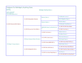 Enlarge PDF 37