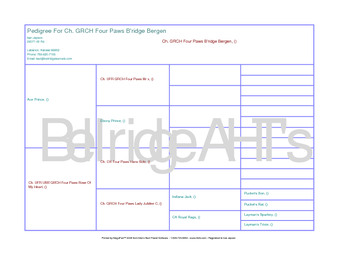 Enlarge PDF 6