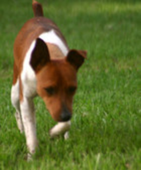 Enlarge photo 8