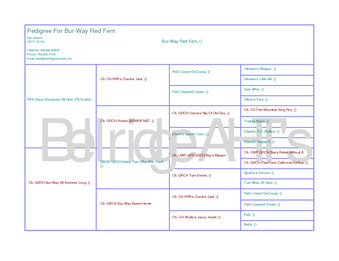 Enlarge PDF 6