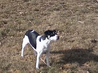 Enlarge photo 10