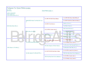 Enlarge PDF 9
