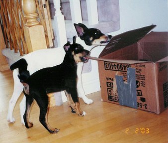 Enlarge photo 31