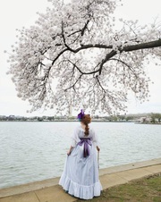 Enlarge photo 32