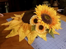 Enlarge photo 22