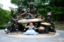 Enlarge photo 17