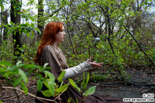Enlarge photo 6