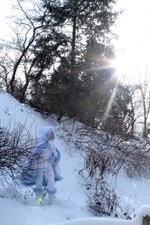 Enlarge photo 23