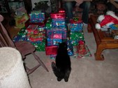 Enlarge photo 17