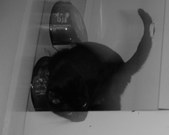 Enlarge photo 48