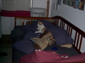 Enlarge photo 2