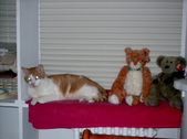 Enlarge photo 37