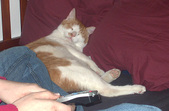 Enlarge photo 10