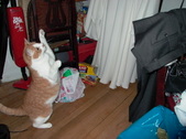 Enlarge photo 41