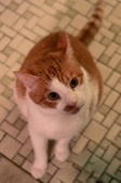 Enlarge photo 53
