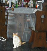 Enlarge photo 59