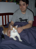 Enlarge photo 19