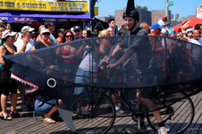 Enlarge photo 15