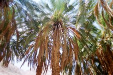 Enlarge photo 112