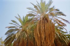 Enlarge photo 113