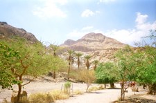 Enlarge photo 115