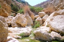 Enlarge photo 125
