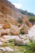 Enlarge photo 126