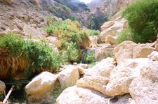 Enlarge photo 128