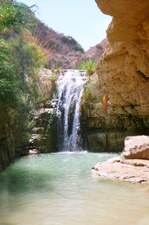 Enlarge photo 130