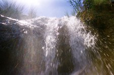 Enlarge photo 134