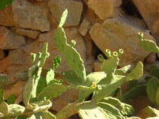 Enlarge photo 45