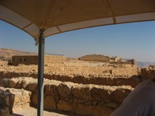 Enlarge photo 64